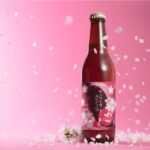 【お花見に持ち寄りたい】春のビール時間に寄り添う「桜ビール」15選