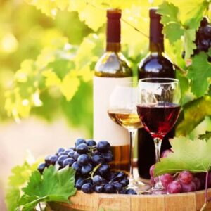 日本酒はワインと同じ醸造酒。蒸留酒や、その他のお酒との違いについても紹介